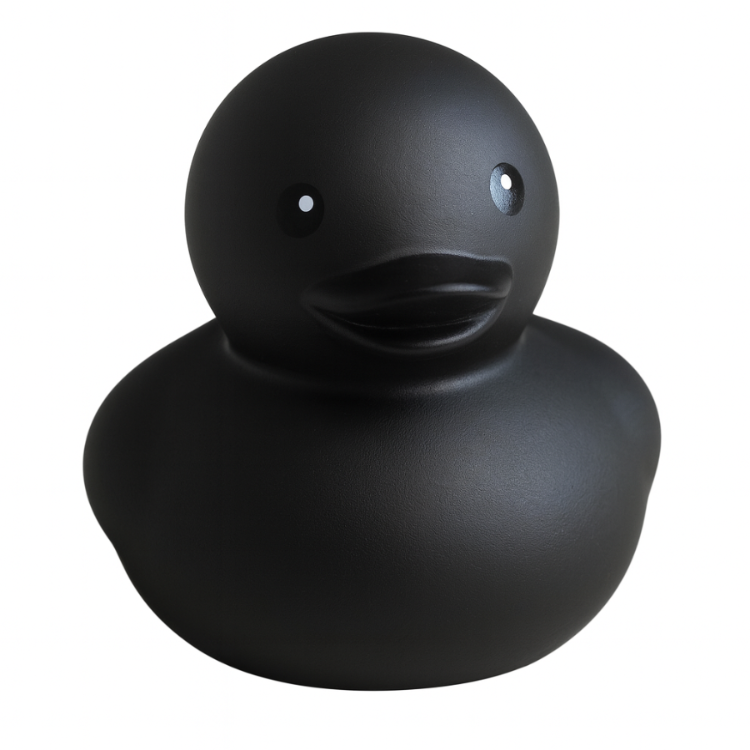 Single Black Duck Front View