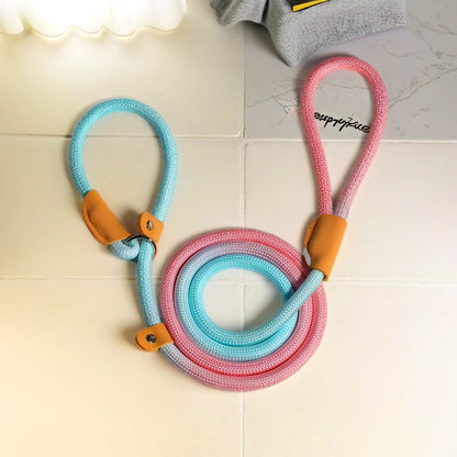 OkiePaw 5-Foot Rope Slip Lead for Dogs –  Nylon