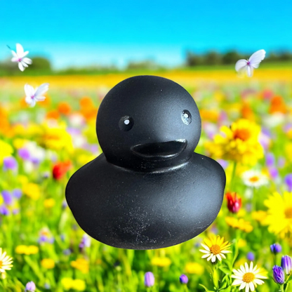 black ducks jeep ducking soft play store