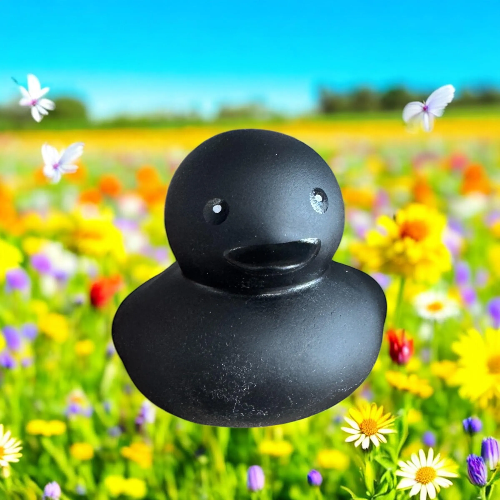 black ducks jeep ducking soft play store
